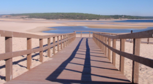 Las siete 'R' de la economía circular para cuidar del planeta