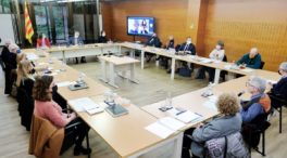 Los asesores lingüísticos del Govern piden promover contenidos de TV3 en los colegios