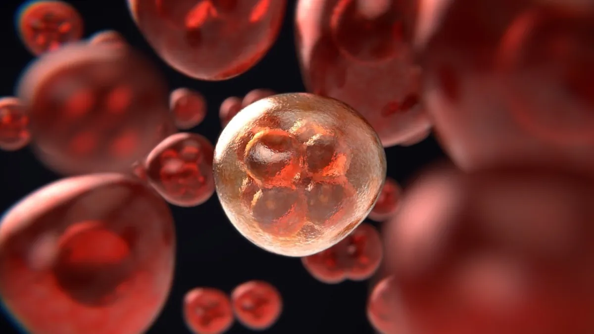 Tratamiento genético contra el cáncer: la clave contra los tumores más agresivos