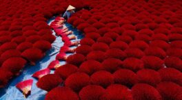 Agora, la galería de arte digital que ha revolucionado el mercado NFT