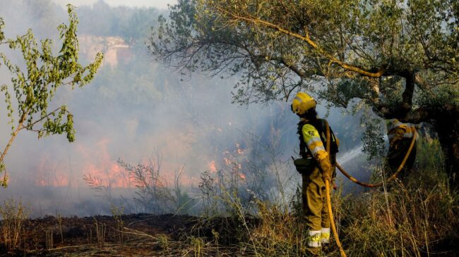 Incendios forestales en España: Zamora, Castellón, Zaragoza, Cataluña y Navarra luchan contra el fuego