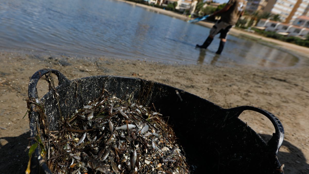 Decenas de personas protestan por la situación del Mar Menor y exigen soluciones
