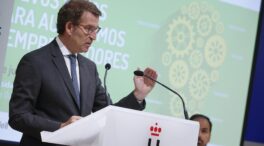 Feijoó tacha la dimisión del presidente del INE de "cese" y asegura que es una "pésima noticia" para la credibilidad de España