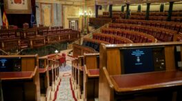 El BOE publica la reforma para que los diputados de viaje puedan votar de forma telemática
