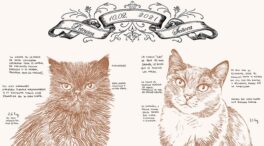 Laura Agustí o cómo superar la muerte de su gato a través del arte