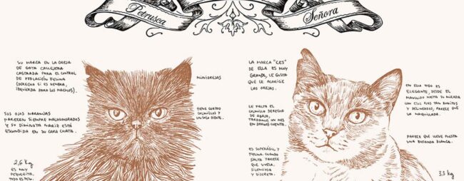 Laura Agustí o cómo superar la muerte de su gato a través del arte