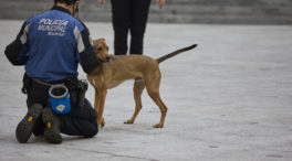 Las cacas de perros nos harán ricos