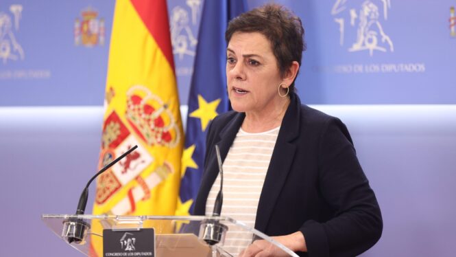 Bildu critica la actuación del Gobierno y el CNI sobre el espionaje