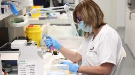 ¿Se está adaptando el virus de la viruela del mono al ser humano?