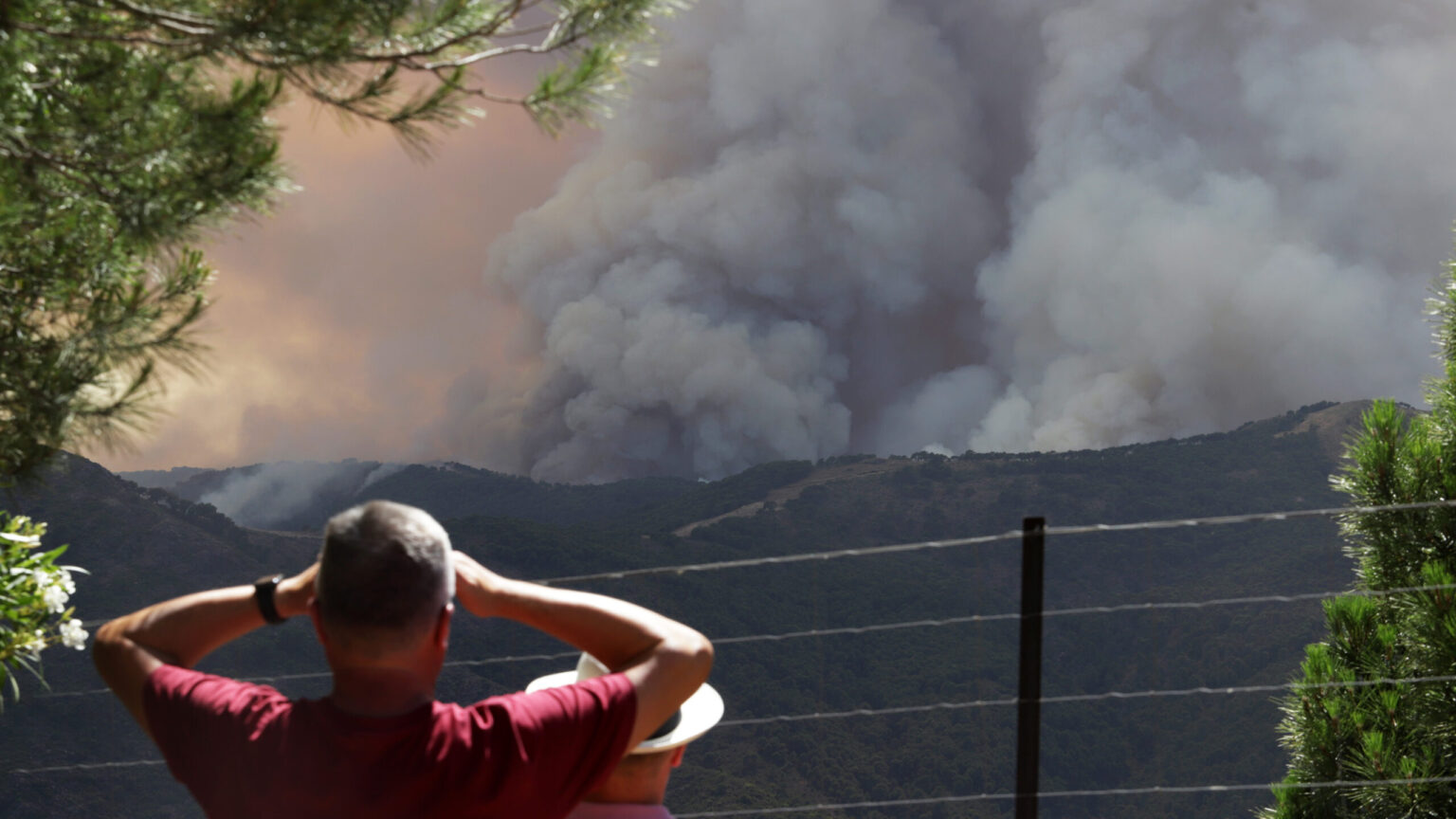 Autorizan la vuelta de la mayoría de desalojados en Benahavís (Málaga) por el incendio