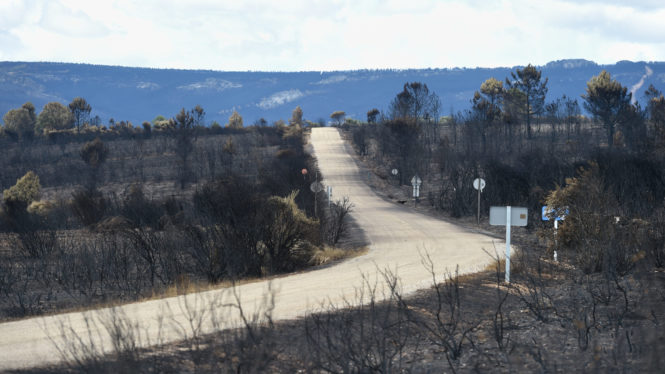 Unas 6.000 personas exigen la dimisión de Mañueco en Zamora por su gestión del incendio