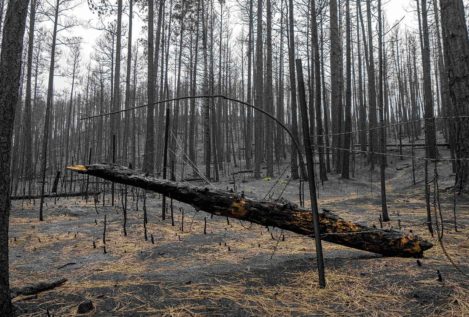 Tormentas de fuego: qué hacer frente a los incendios de potencia atómica