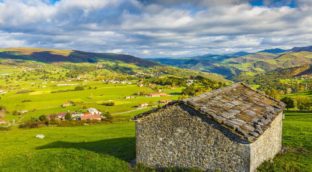 La incertidumbre económica dispara las compras de fincas rústicas