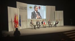 El coronel Pérez de los Cobos y un exjefe policial alertan sobre grupos disidentes de Bildu