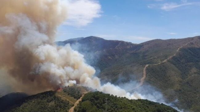 (VÍDEO) La Sierra Bermeja en Málaga vuelve a quemarse nueve meses después