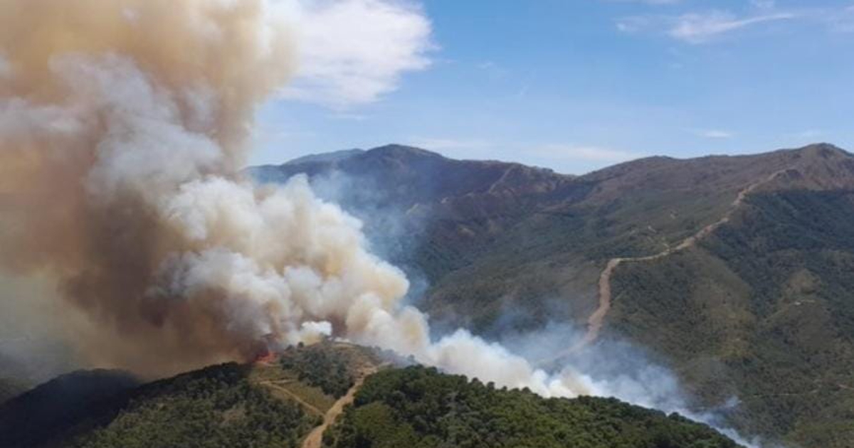 (VÍDEO) La Sierra Bermeja en Málaga vuelve a quemarse nueve meses después