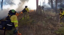Los incendios arrasan 16.493 hectáreas en lo que llevamos de año en España, un 32% menos