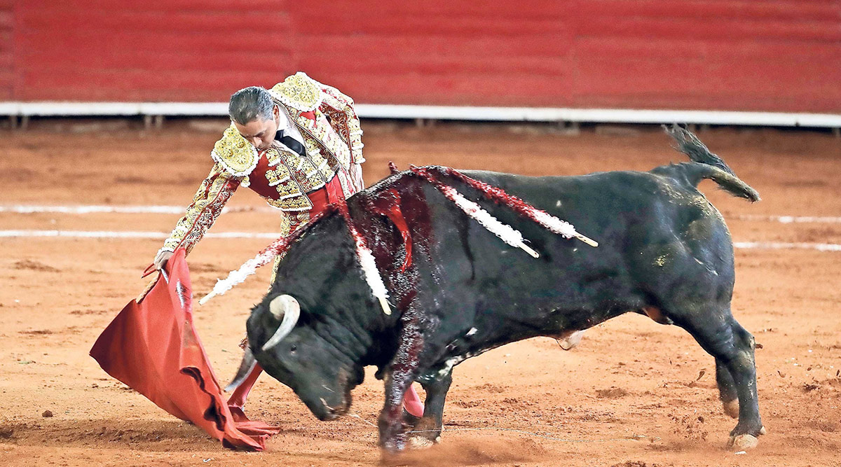 La México, la plaza más grande del mundo, se queda sin toros tras la prohibición de un juez