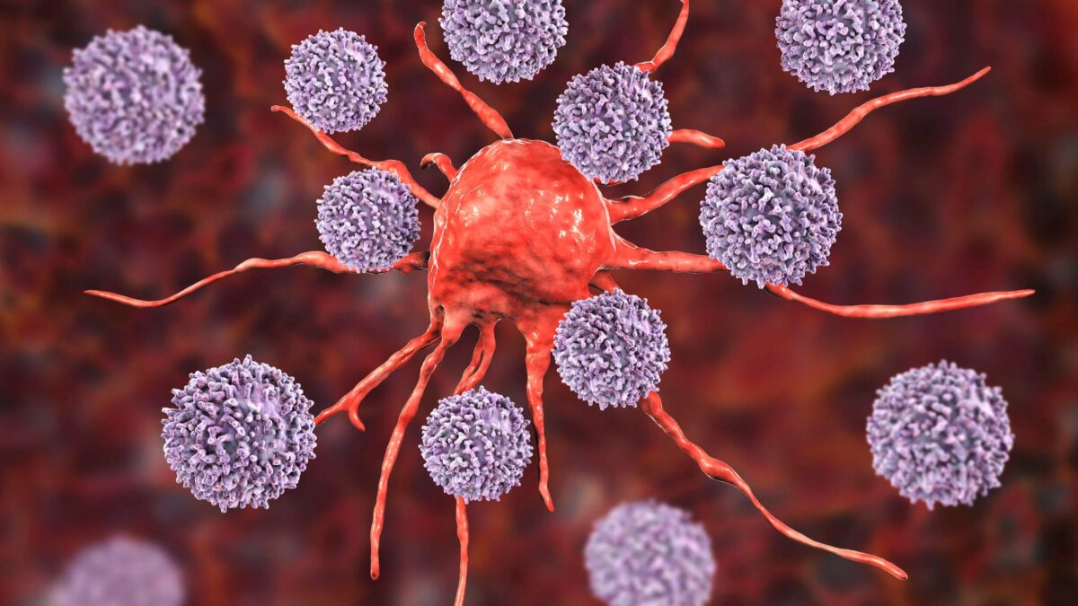 La vacuna universal contra el cáncer, más cerca tras un estudio que arroja resultados prometedores