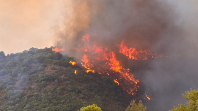 España en llamas: los incendios que asolan la Península, en imágenes