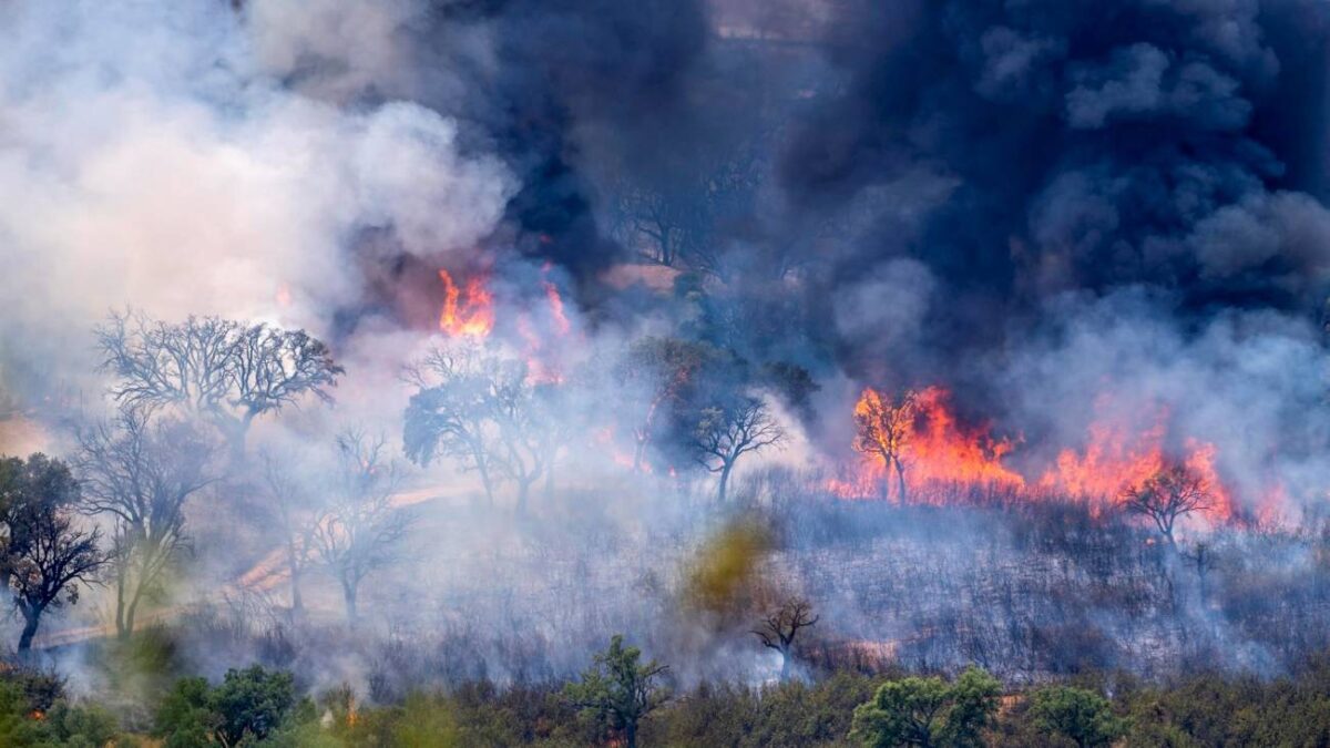 «Todos saben qué hacer ante un terremoto en Japón. Aquí debería ser igual con los incendios»