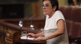 Bildu carga contra la Transición y critica que España no es una democracia plena