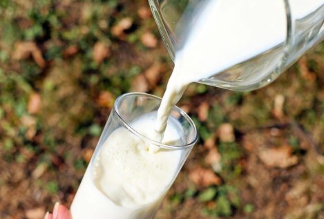 Los antiguos humanos consumían leche mucho antes de poder digerirla