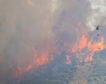 Arde España: más de 30 incendios asolan el país de norte a sur