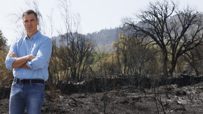 La imagen de Sánchez 'posando' en un incendio de Extremadura enciende la polémica