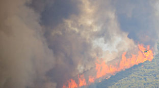 Efectivos trabajan en el incendio declarado en Mijas (Málaga)