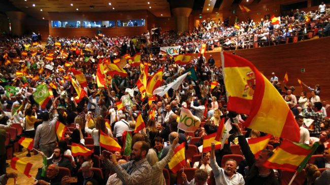 Vox, condenado a indemnizar por vulneración de derechos en sus primarias de Granada