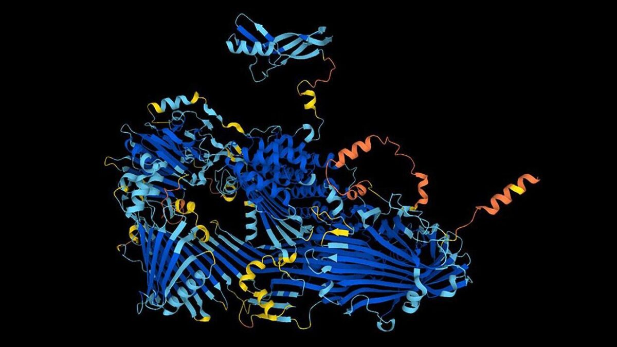 La Inteligencia Artificial predice la estructura de casi todas las proteínas conocidas por la ciencia