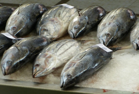Alerta verano: estos son los pescados con más mercurio de nuestra dieta