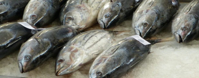 Alerta verano: estos son los pescados con más mercurio de nuestra dieta