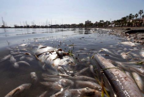 Demuestran que la situación del Mar Menor se debe a las aguas residuales, no a la agricultura