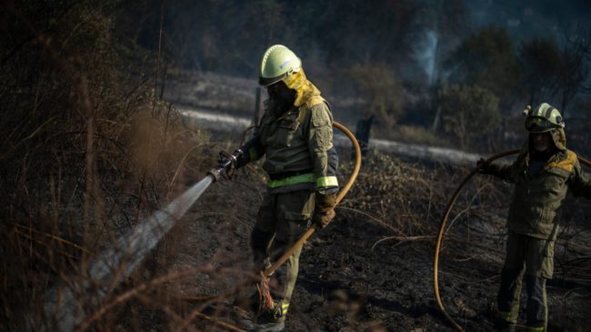 Los Bomberos trabajan en la extinción de un incendio en Guadalix de la Sierra (Madrid)