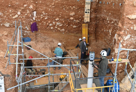 «El primer europeo»: hallan en Atapuerca el resto humano más antiguo del continente