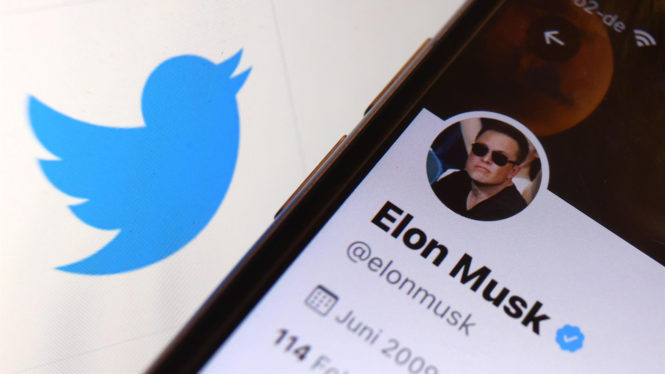 Elon Musk contrademanda a Twitter alegando que no detalló cuántas cuentas falsas tiene
