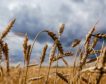 Ucrania y Rusia firman un pacto con Turquía y la ONU para desbloquear la exportación de grano