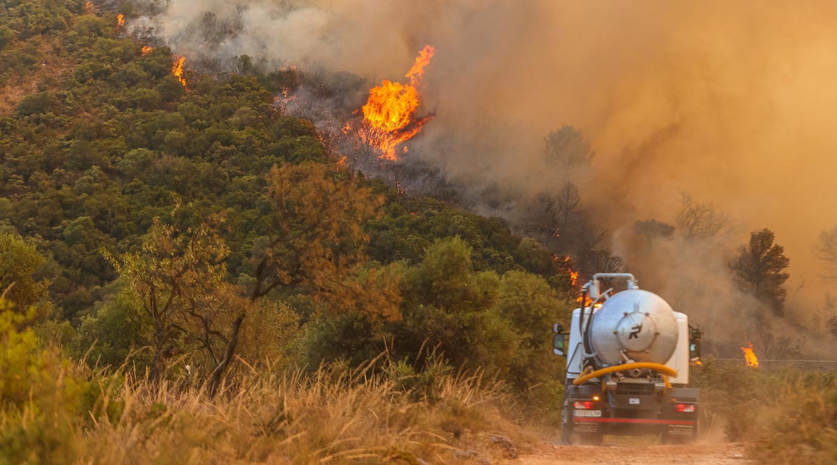 Estabilizado el incendio en la Sierra de Mijas (Málaga) tras arrasar 2.000 hectáreas