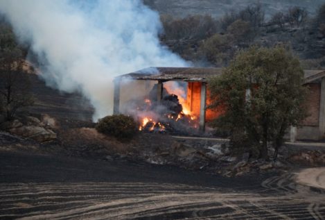 Alerta por las altas temperaturas y el riesgo de incendios forestales en varios puntos del país