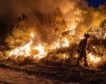 Ola de incendios en Europa: la anomalía que será la norma