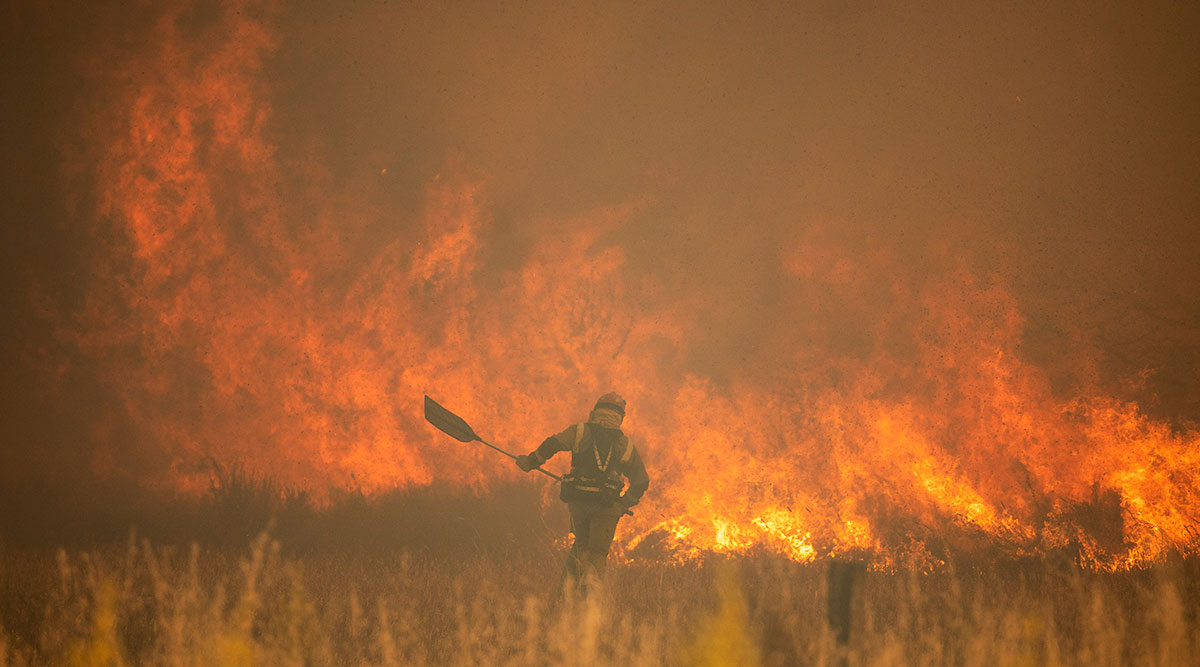 Muere un bombero en la extinción del incendio de Losacio (Zamora)