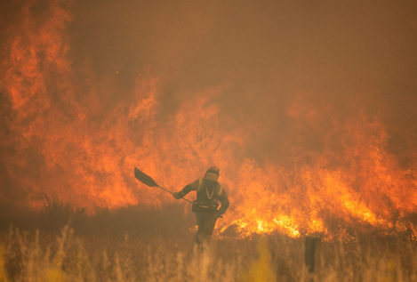 Muere un bombero en la extinción del incendio de Losacio (Zamora)