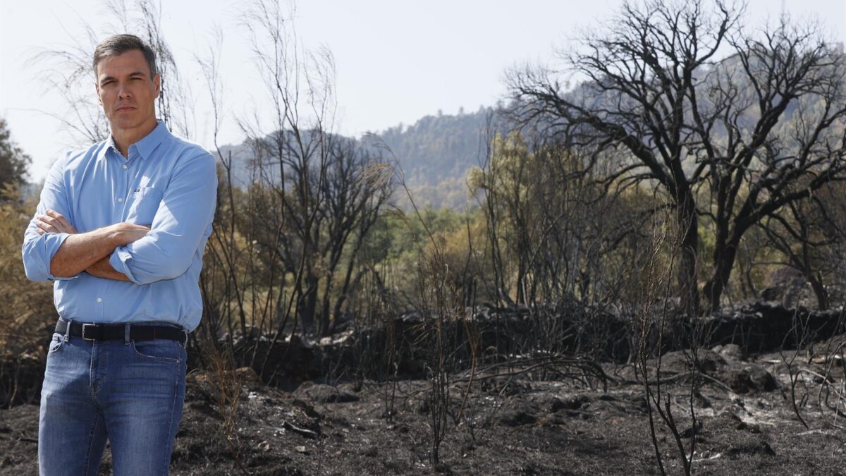 Sánchez culpa al «cambio climático» de los incendios registrados en España: «Mata personas»
