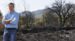 Sánchez culpa al "cambio climático" de los incendios registrados en España: "Mata personas"