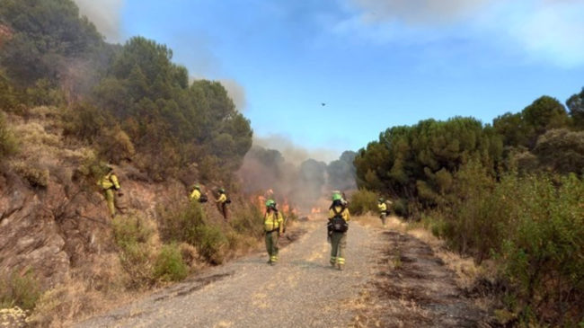 Un centenar de efectivos trabajarán esta noche para extinguir el incendio en El Ronquillo (Sevilla)