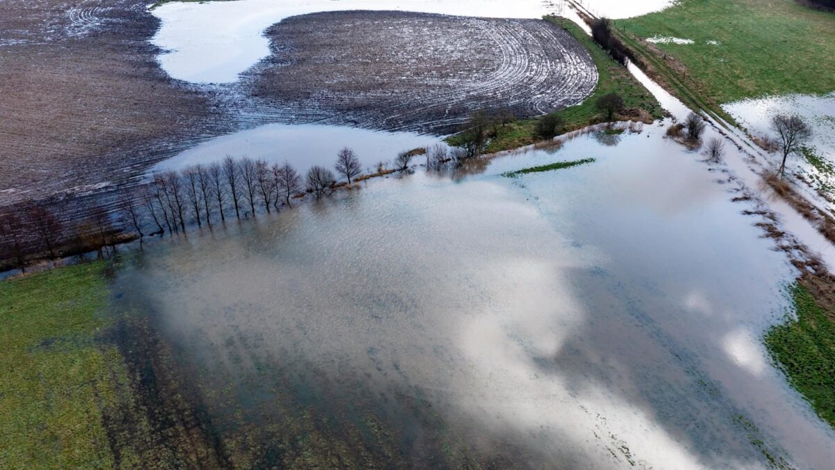 El BCE alerta de que los bancos no incorporan suficientemente el riesgo climático en sus modelos internos