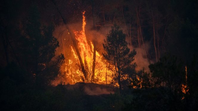 Así están los más de 30 incendios activos en España