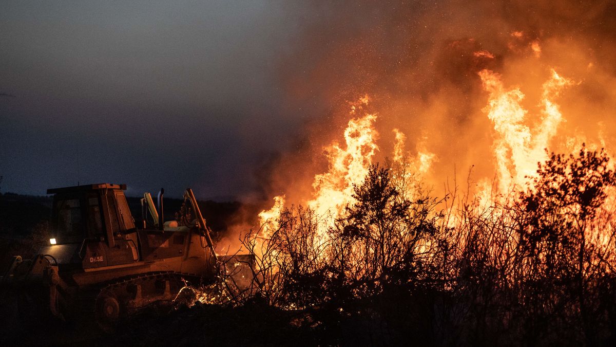 Incendio comarcas de Alba y Aliste, Zamora